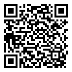 QR-Code - Blog / Portfolio